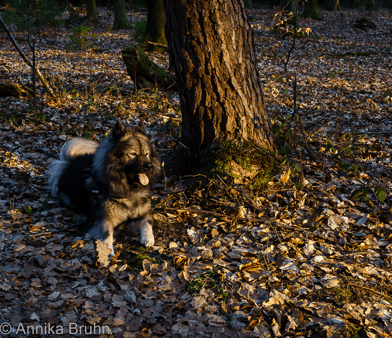 Q genießt die Sonne!
